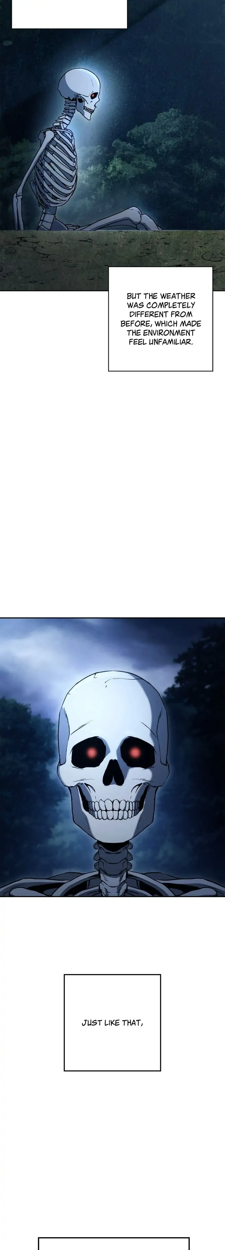 19988804 720 4000 74852