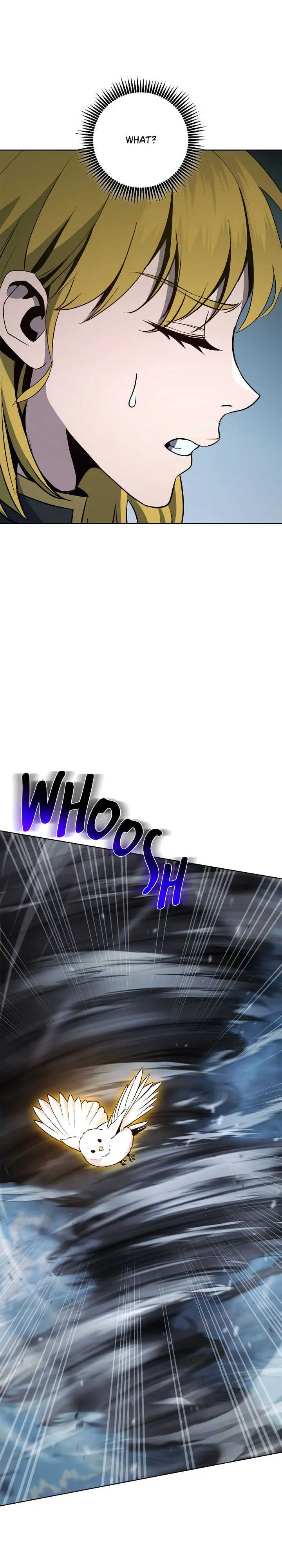 53026045 720 4000 177642